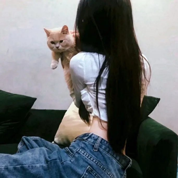 红豆杉之恋